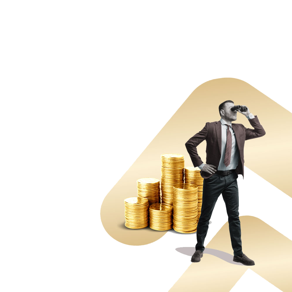 Capital Investment Services